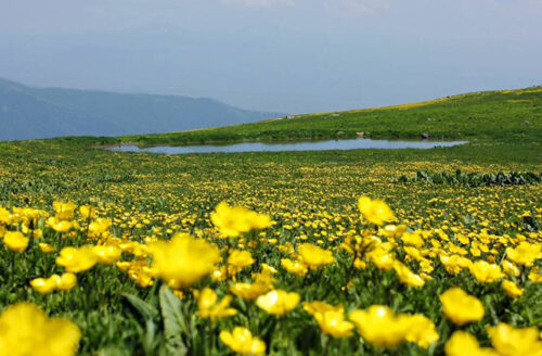 Օդի ջերմաստիճանը կբարձրանա 4-6 աստիճանով