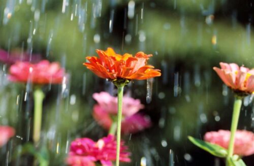 Հանրապետության առանձին շրջաններում սպասվում է կարճատև անձրև և ամպրոպ