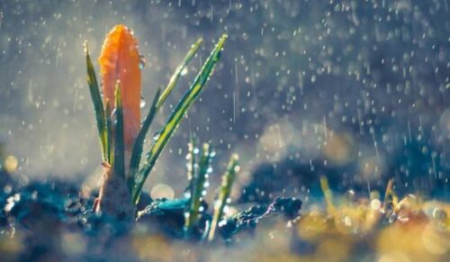 Հնարավոր է կարճատև անձրև և ամպրոպ