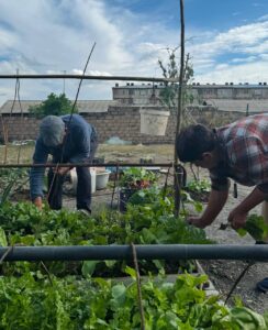 Տումիի սովորություններով՝ Էջմիածնում․ամուսիններն անցյալից կտորներ հավաքելով են ապրում (լուսանկարներ)