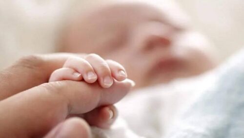 На прошлой неделе в Ереване родились 1947 детей