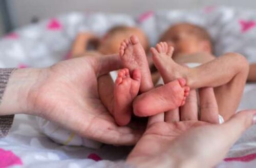 Birth rate decreases while death rate increases in Armenia