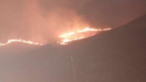 МВД РА: В Сотке сгорело 70 гектаров травы