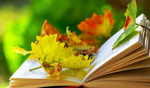 Սեպտեմբերի 1-5-ն սպասվում է առանց տեղումների եղանակ