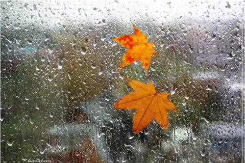 Որոշ շրջաններում սպասվում է անձրև, հնարավոր է նաև մառախուղ