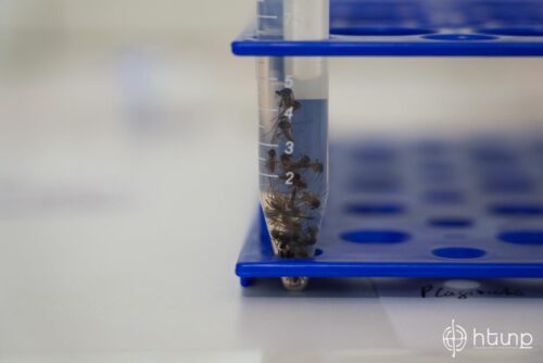 В Армавире от лихорадки Западного Нила скончались 3 человека