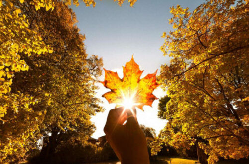 Ожидается погода без осадков