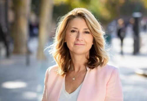 Ամենամասշաբային ֆեյք իրադարձությունը. ֆրանսիացի պատգամավորը՝ COP29-ի մասին