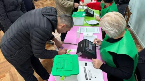 Пересчет голосов будет проведен на некоторых избирательных участках Грузии