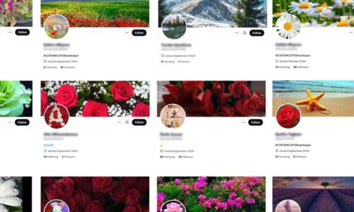 Ադրբեջանը սոցցանցերում բազմաթիվ կեղծ օգտահաշիվներով փորձել է խթանել COP29-ը