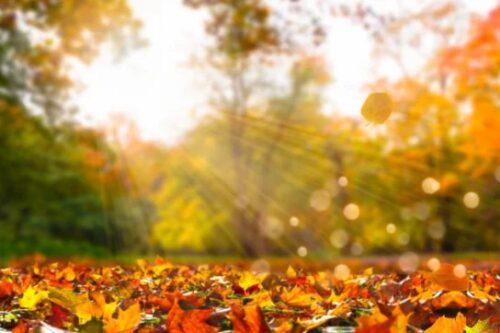 Սպասվում է առանց տեղումների եղանակ. օդի ջերմաստիճանը կբարձրանա