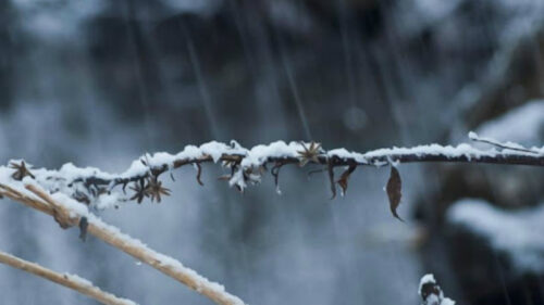 Температура снизится: погода в Армении