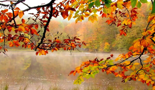 Ожидается погода без осадков