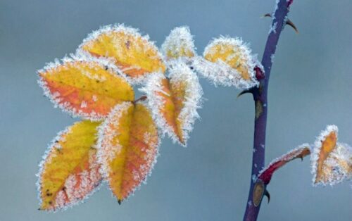 Օդի ջերմաստիճանն աստիճանաբար կբարձրանա 2-4 աստիճանով