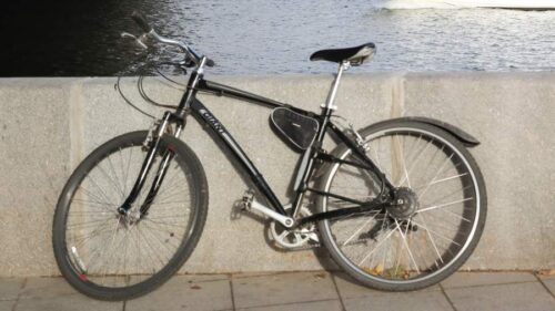 Bordeaux deputy mayor to reach Azerbaijan’s border by bicycle, but not to attend COP29