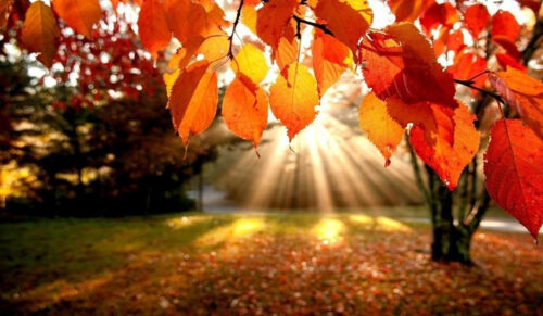 Օդի ջերմաստիճանը կբարձրանա. եղանակի տեսություն