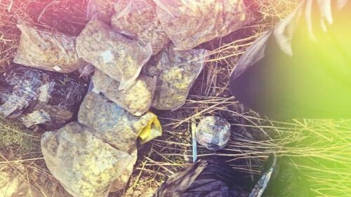 Очередная партия наркотиков обнаружена на границе Армении и Ирана