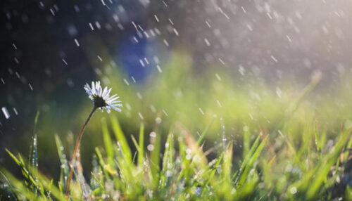 Սպասվում է կարճատև անձրև և ամպրոպ․ եղանակը Հայաստանում