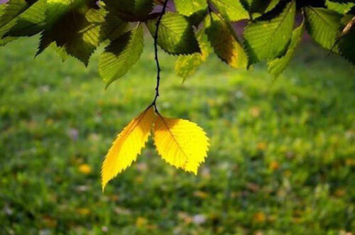 Температура воздуха в Армении продолжит повышаться: прогноз погоды