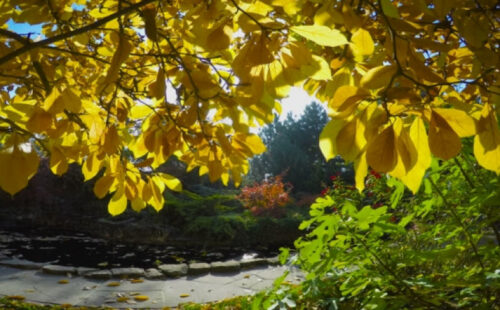 Սպասվում է առանց տեղումների եղանակ