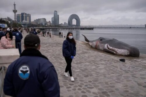 BBC: 29-й климатический саммит ООН завершился практически полным провалом
