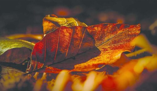 Տեղումներ չեն սպասվում․ եղանակը Հայաստանում