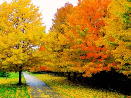 Հայաստանում օդի ջերմաստիճանն էապես չի փոխվի. եղանակի տեսություն