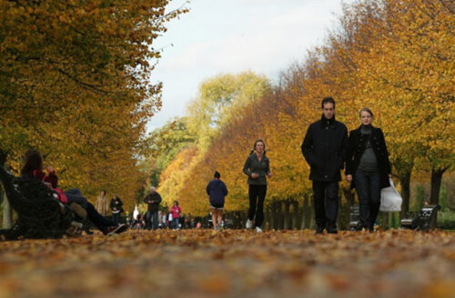 Ожидается погода без осадков