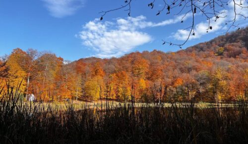 В отдельных регионах ожидаются осадки, в горных районах – снег