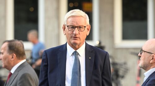 Экс-премьер Швеции: После инаугурации президента ситуация в Тбилиси достигнет своего пика