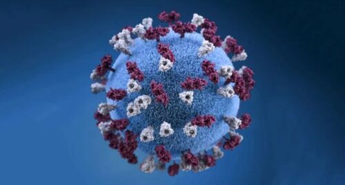 Что такое метапневмавирус и как избежать заражения?