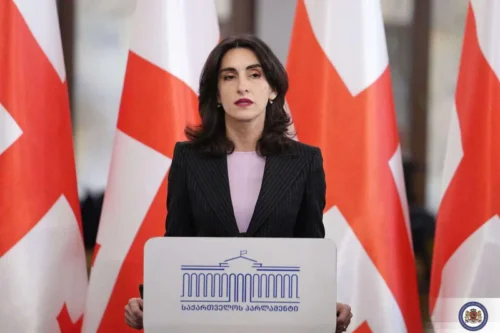 Грузия использует весь свой потенциал для достижения мира между Азербайджаном и Арменией: глава МИД Грузии