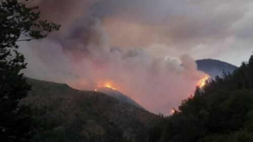 Ամրակից գյուղի հարակից սարալանջին կրակ է նկատվում. ABCmedia-ին մանրամասներ է հայտնել ՆԳՆ խոսնակը