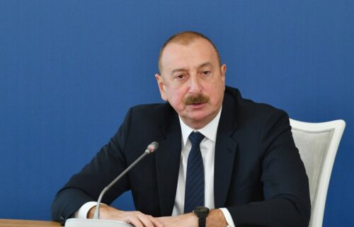 В Греции задержали племянницу Алиева