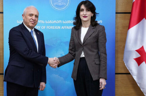 Глава МИД Грузии и посол Армении обсудили стратегическое партнерство между странами