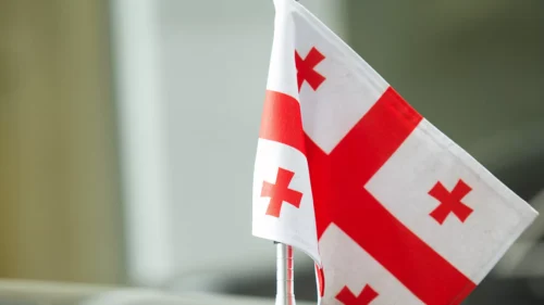 В январе МВД Грузии депортировало из страны 37 иностранцев, в том числе граждан Армении