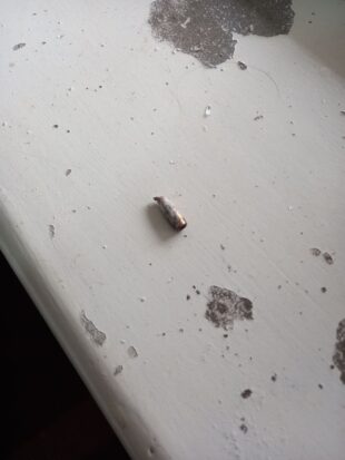 Ադրբեջանական կրակոցից Խնածախում բնակելի տուն է վնասվել