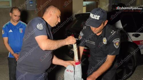 Шамшян: В Шенгавите мужчина напал с топором на врачей скорой помощи