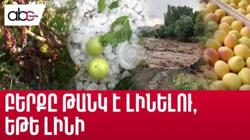 Farmers left alone after the disaster