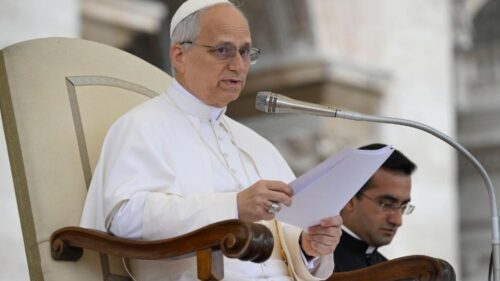 Allow the entry of humanitarian aid to Gaza, says Pope Leo XIV