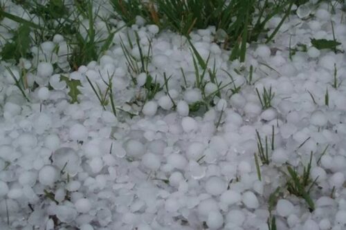 Կարկուտի հասցրած վնասները գույքագրվում է․ ABC media-ին մանրամասներ են հայտնել Արտաշատի համայնքապետարանից