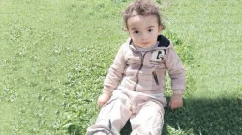 Поиски 2-летнего Тиграна возобновились: Нарек Саргсян рассказал подробности ABC media