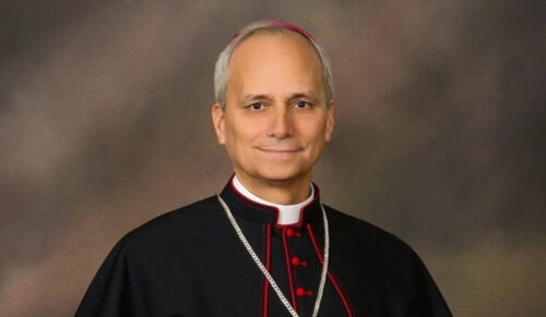 End the wars, says Pope Leo XIV in 1st Sunday message