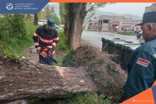 Ուժգին քամու հետևանքով տապալվել են ծառեր, վնասվել՝ տանիքների թիթեղներ