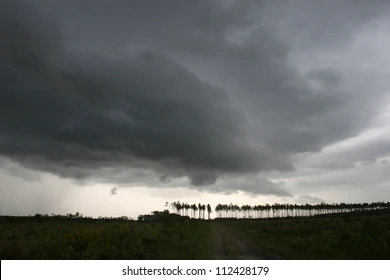 Scientists warn of record temperatures and stronger storms due to climate change Scientists warn of record temperatures and stronger storms due to climate change