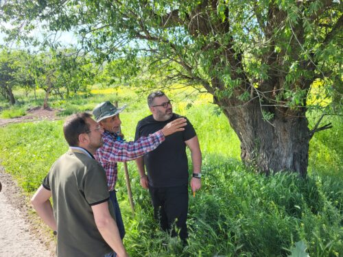 Պատգամավորները այցելել են Սյունիքի սահմանամերձ համայնքներ՝ արձանագրելով լուրջ անվտանգային և սոցիալական խնդիրներ