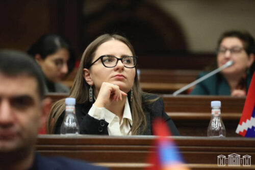 Кристине Варданян: «Факты», опубликованные Следственным комитетом, — это легальные боеприпасы и стреляные пули