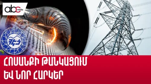 Ի՞նչ կլինի, եթե ՀԷՑ-ն անցնի պետությանը