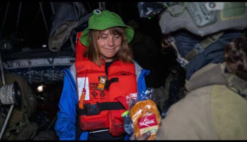 Swedish eco-activist blames Israel for kidnapping