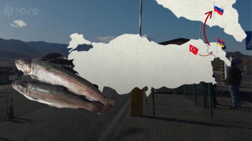 Թուրքական իշխանը ներմուծվել և վերաարտահանվել է ՌԴ որպես հայկական արտադրության ձուկ․ «Հետք»